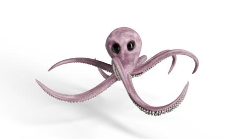 Rigged Octopus