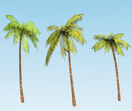 Low-poly Good Quality Palm trees