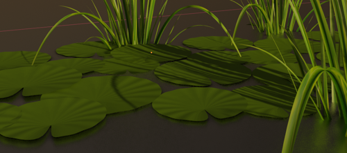 Round lily lotus flower