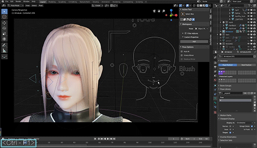 Face Controller