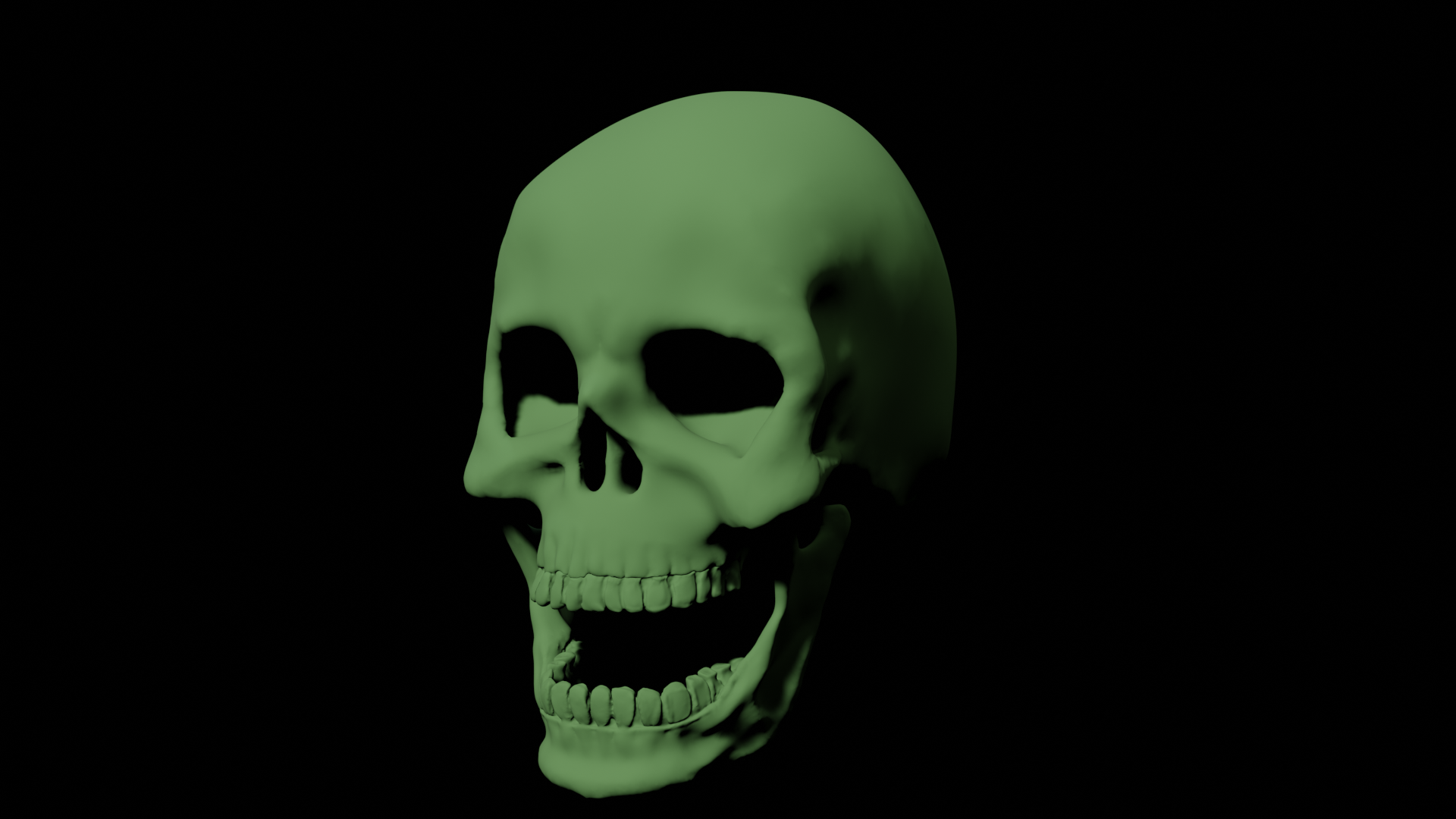 Human Skull A003