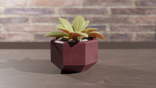 Delicate Succulent
