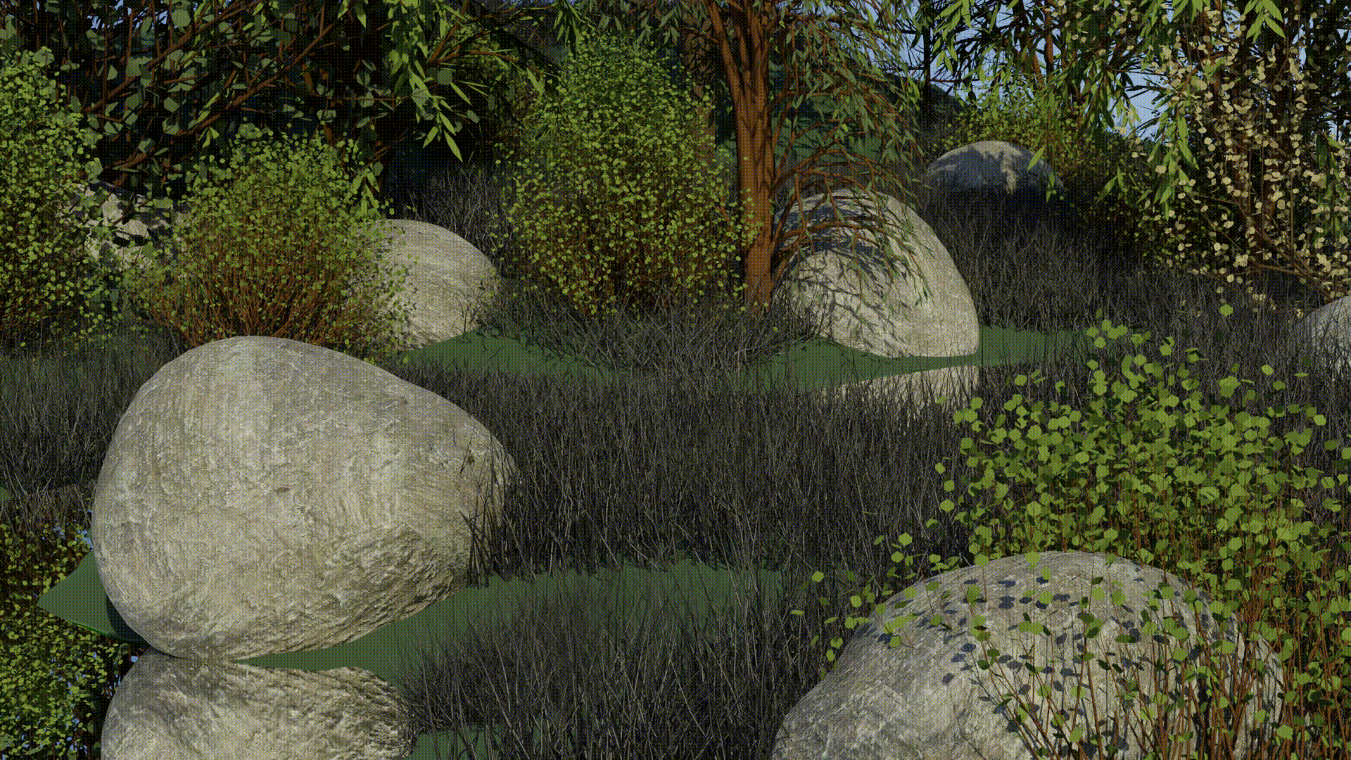 Forest scene.(Night and Day)