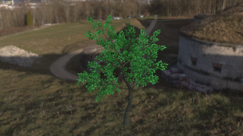 tree