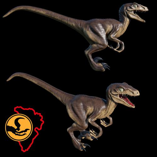 Velociraptor