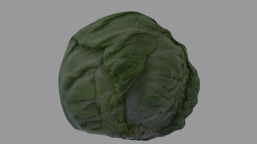 Cabbage Head