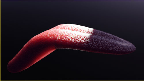 tongue