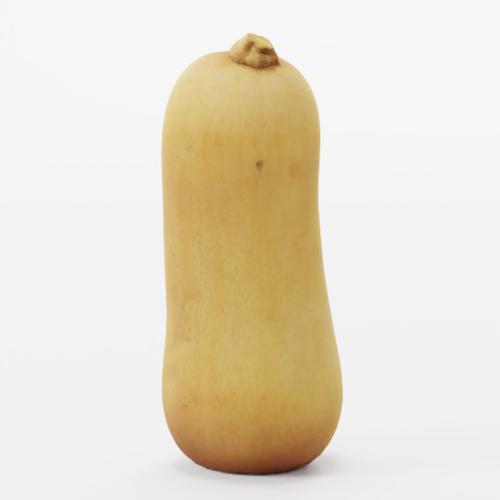 Butternut Squash
