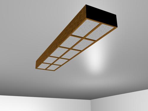 Ceiling Light