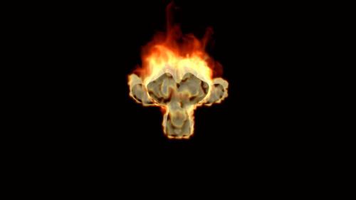 Burning Suzan Monkey