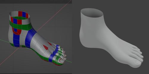 Foot Topology - CGCookie style (CC0)