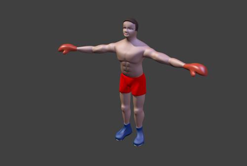 Boxer Male