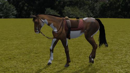 Horse Rigged All Gaits