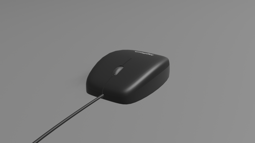 Computer Mouse