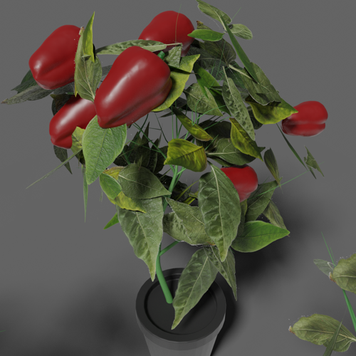 Synthetic pepper dataset generator