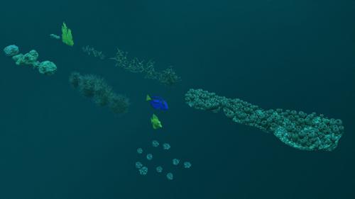 Sea life