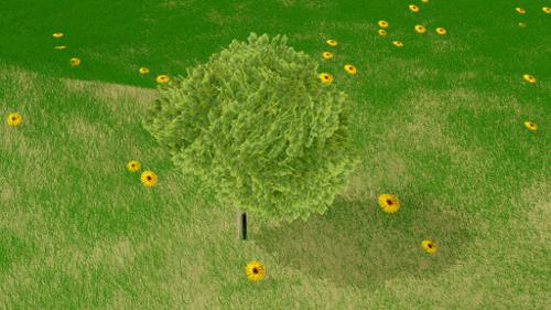 Tree And Meadow
