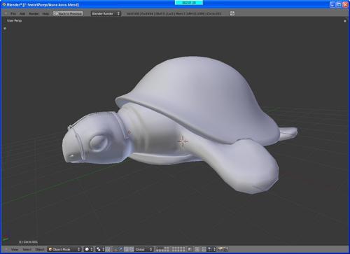 Penyu / Turtle