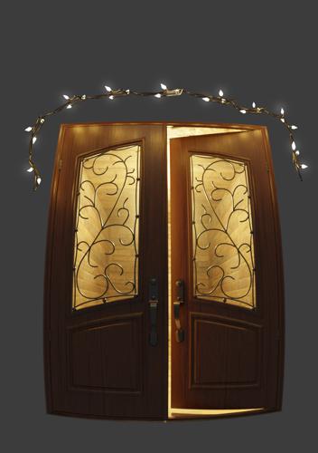 Slightly Fancy Door