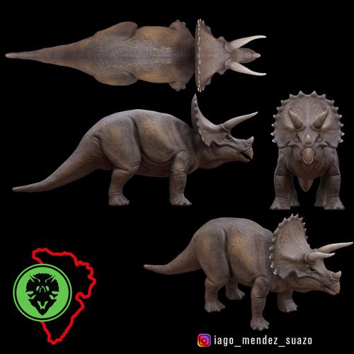 Triceratops