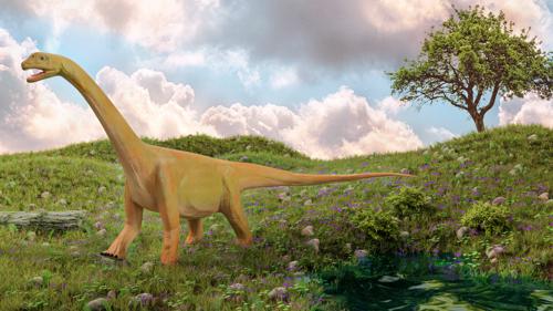 Camarasaurus