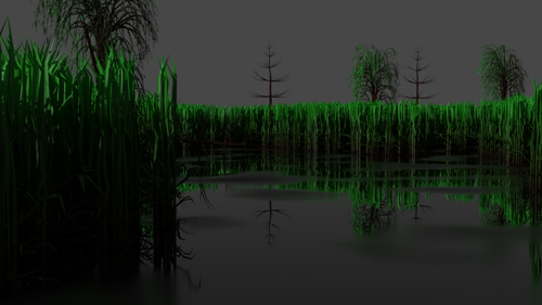 Swamp