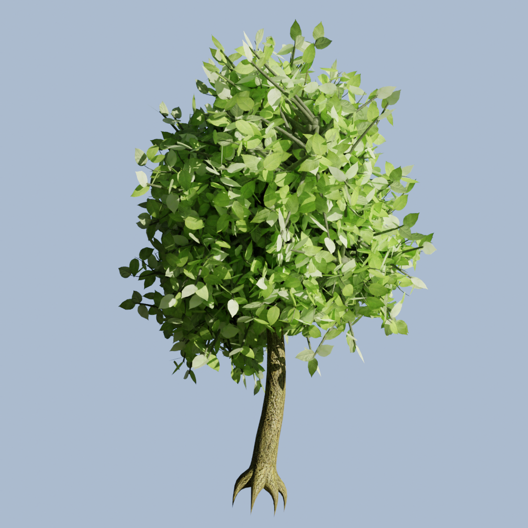 Procedural Tree
