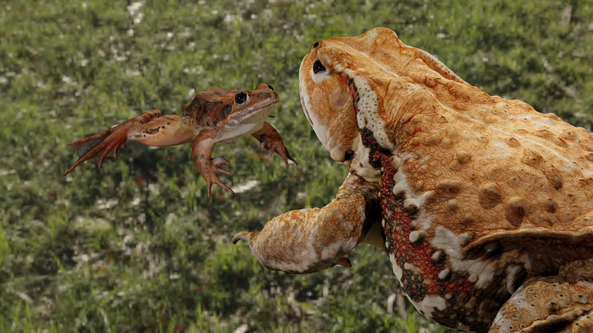 2 Realistic Frogs (Rigged)