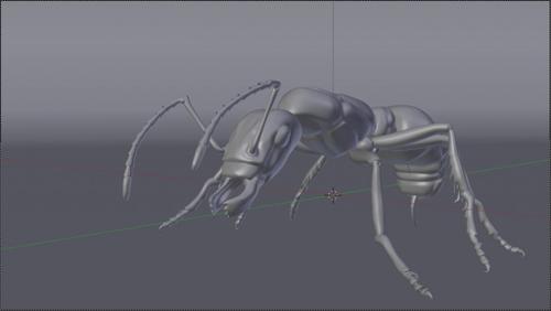Ant