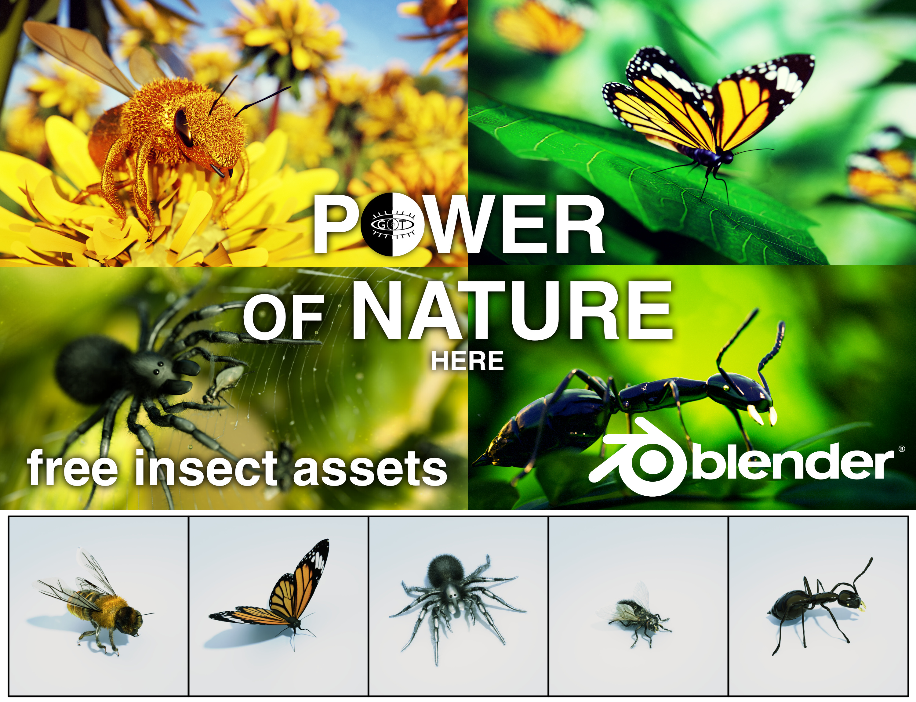 Power of nature