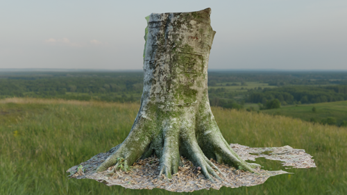 Tree Trunk Base - Photoscan