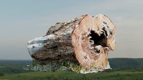 Red Gum Log