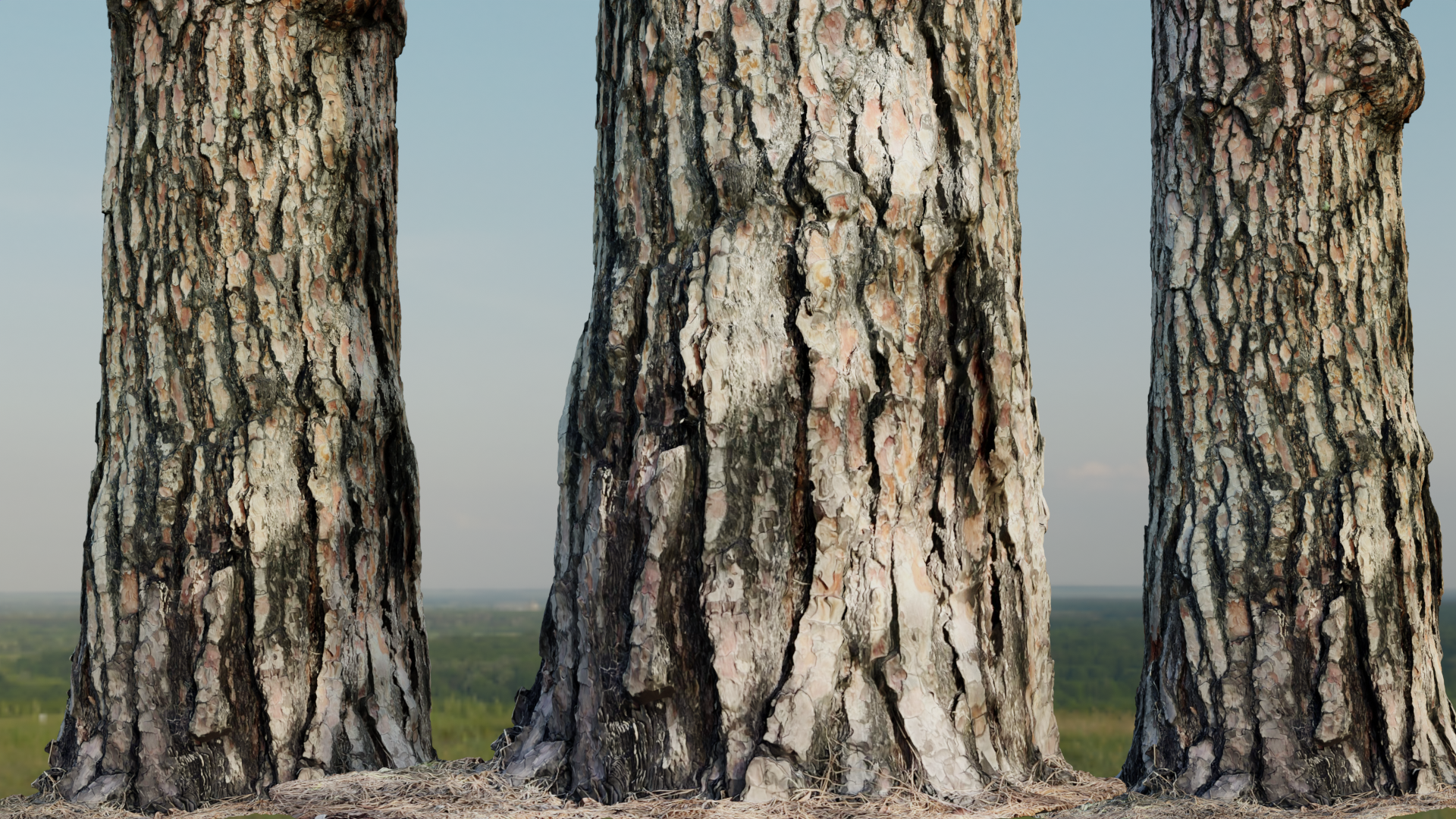 Pine Tree Base