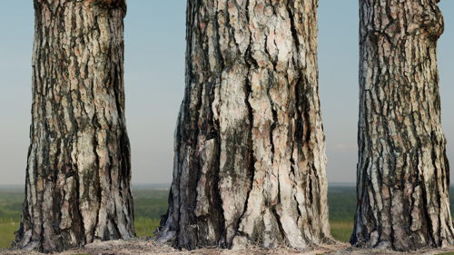Pine Tree Base