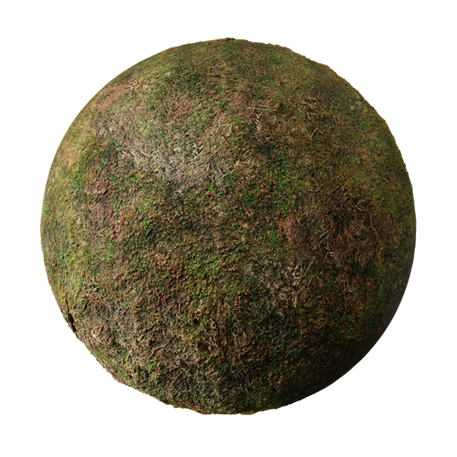 Grass Dirt Clovers (Cycles)