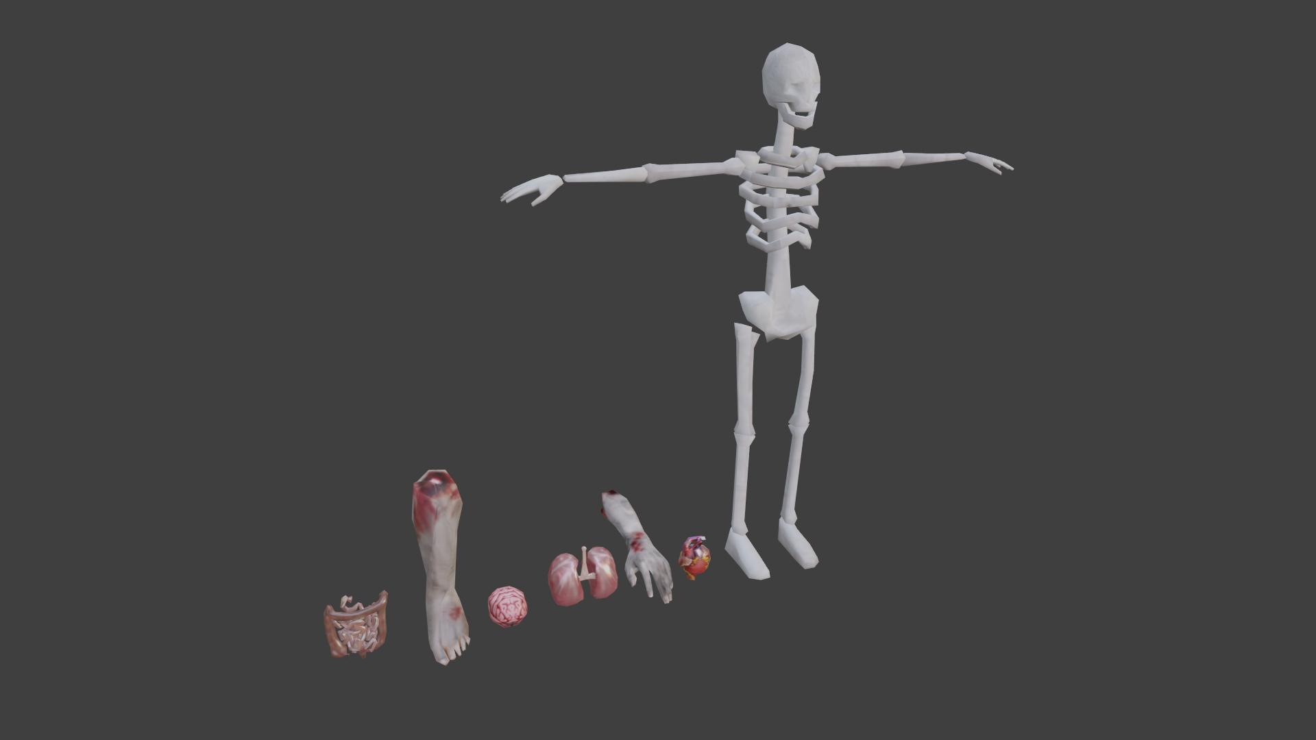 Anatomy (LOW-POLY)