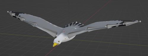 Seagull