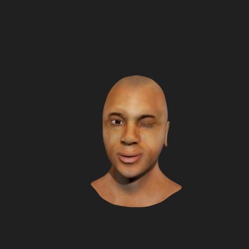 Human Head Model