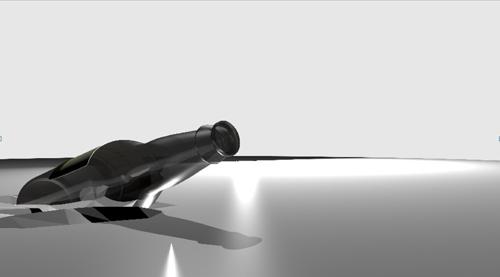 Beer Bottle