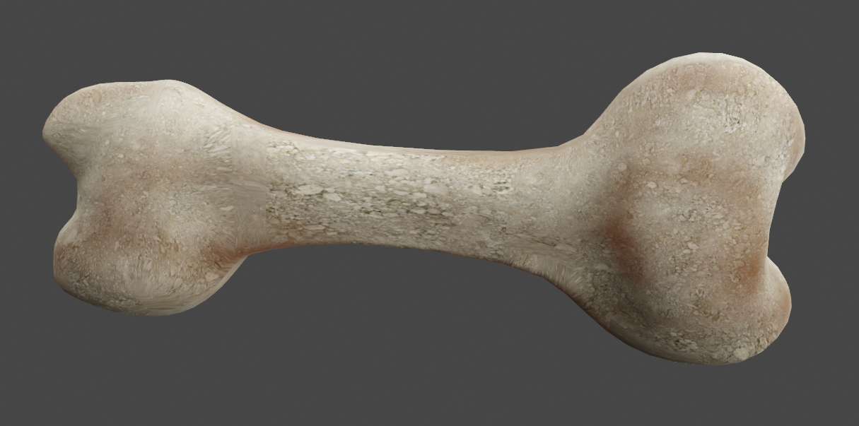 Dog Bone