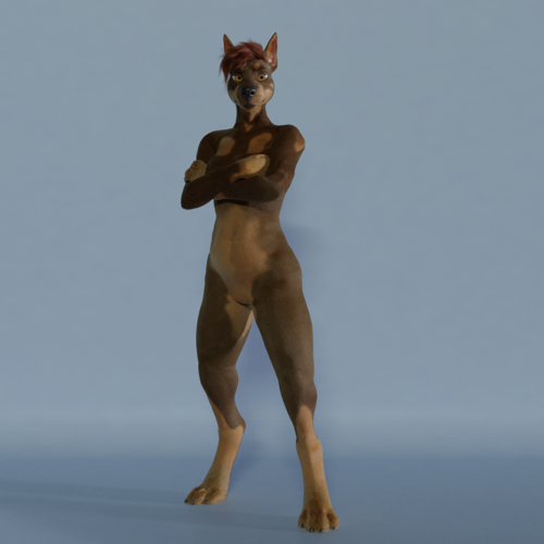 Female Doberman
