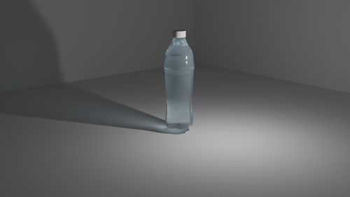 Water Bottle