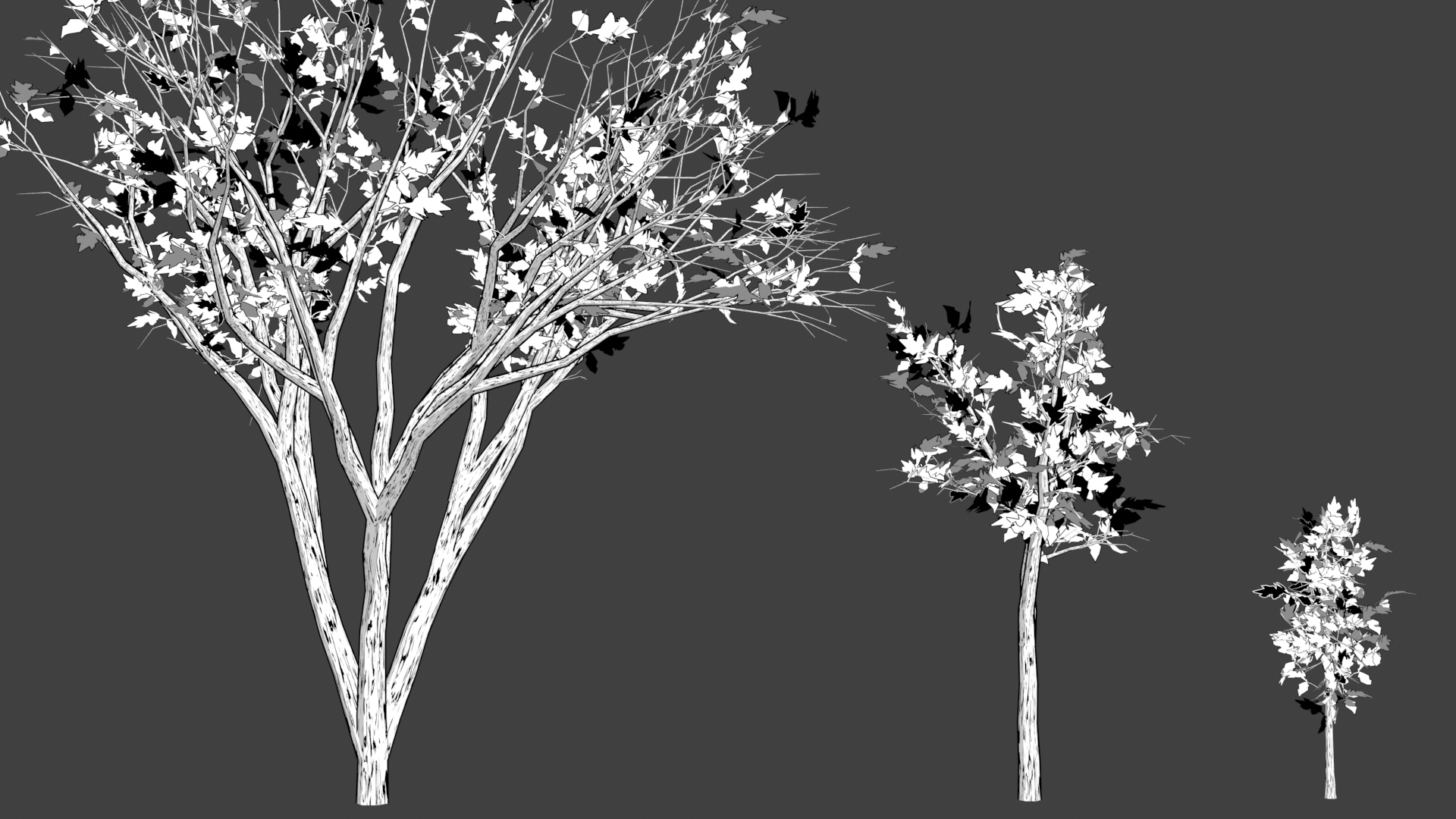 Stiylized Manga Tree
