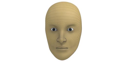 Womans Head