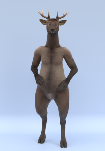 Wapiti Deer 3d model