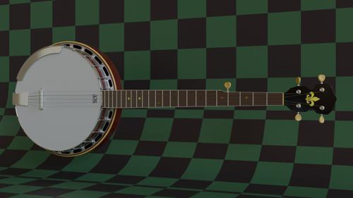 Five String Banjo