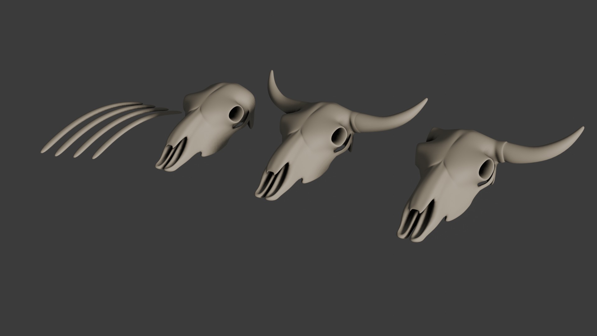 Cow Skulls