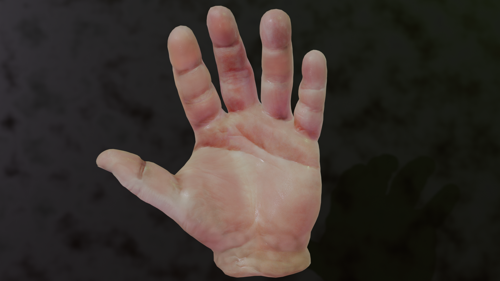 Accurate Hand Rigg
