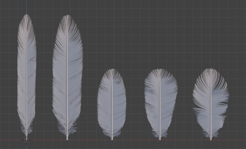 Feather for bird