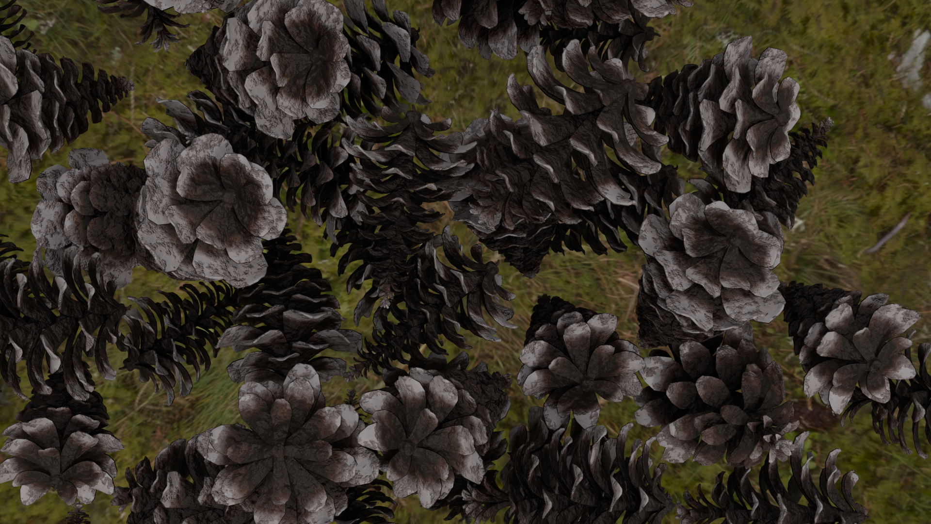 Snowy Pine Cones